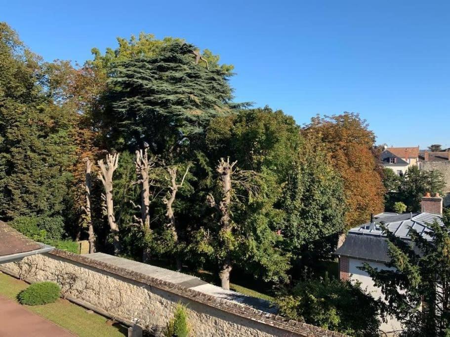 Studio Calme, Grand Parquet,Chateau,Insead فونتانبلو المظهر الخارجي الصورة